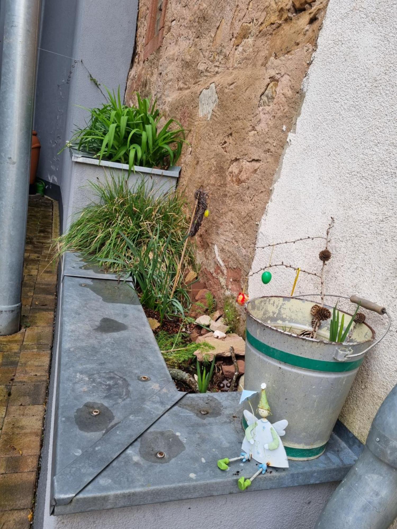 Haus Ziegenblick Villa Herbolzheim Buitenkant foto